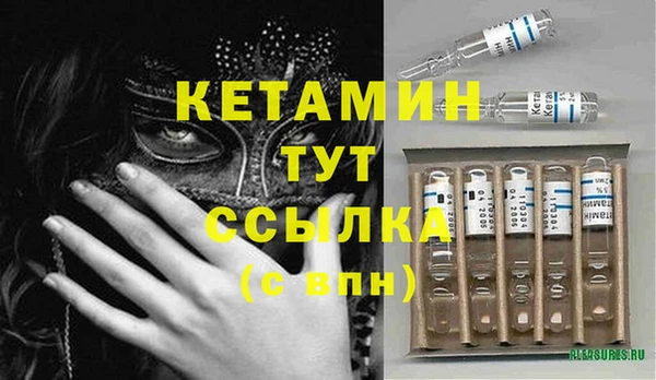 стафф Вязьма